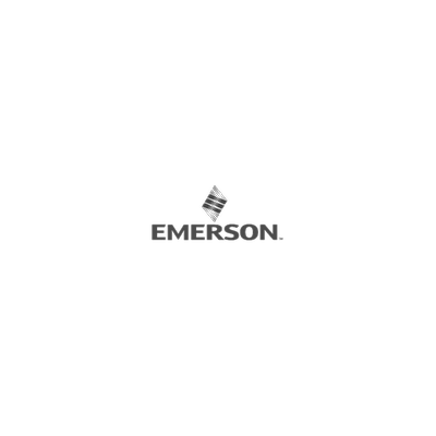 Emerson-P-IC830M41H-GS9NGF00