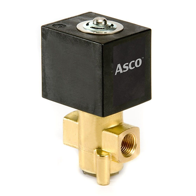 Asco-P-L256