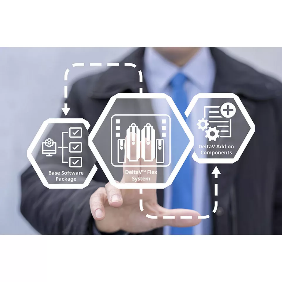 DeltaV Flex-System
