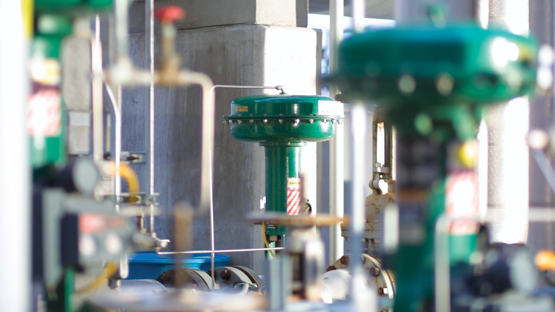 2FCValves-Plant-Blur-Sharp