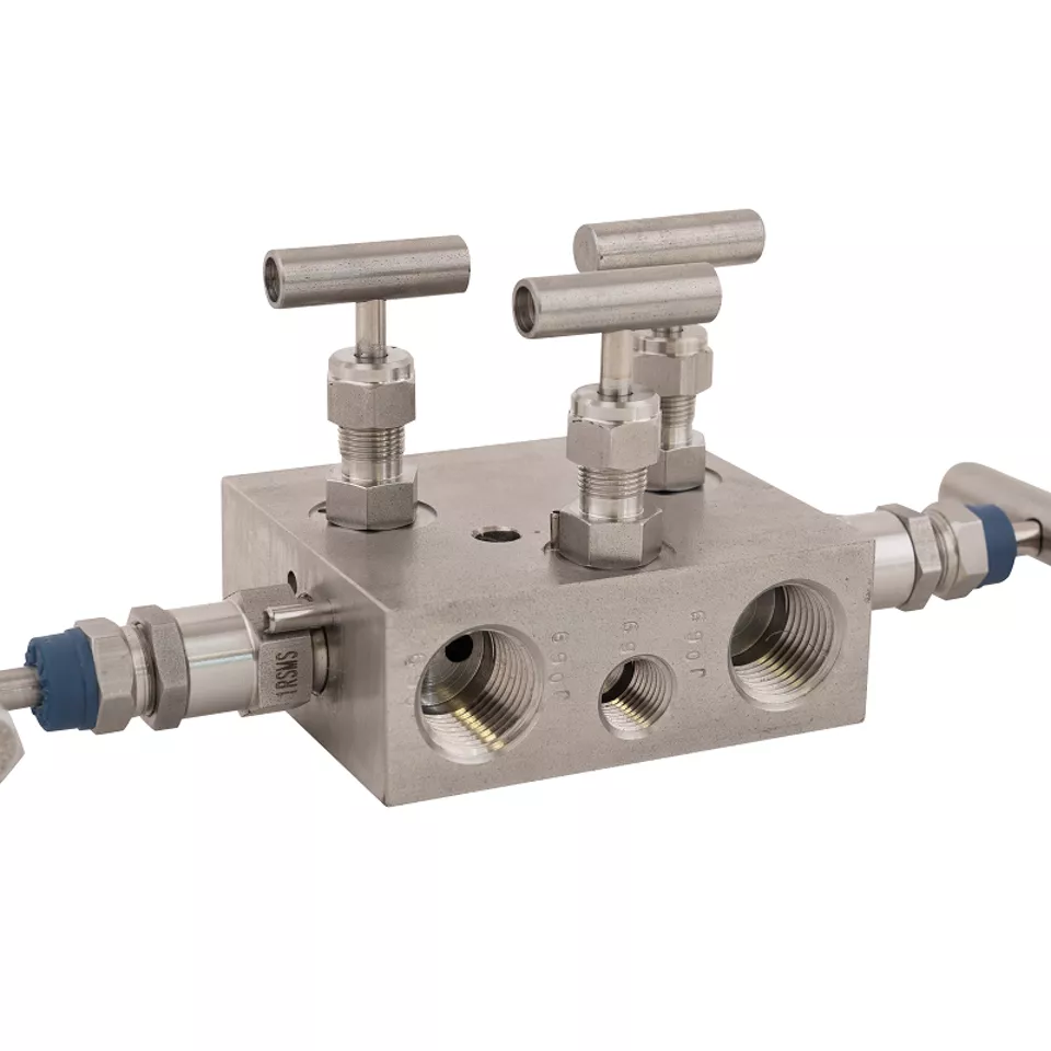 TESCOM™ Anderson Greenwood Messumformer Modell M6A Differenzdruck-Ventilblöcke