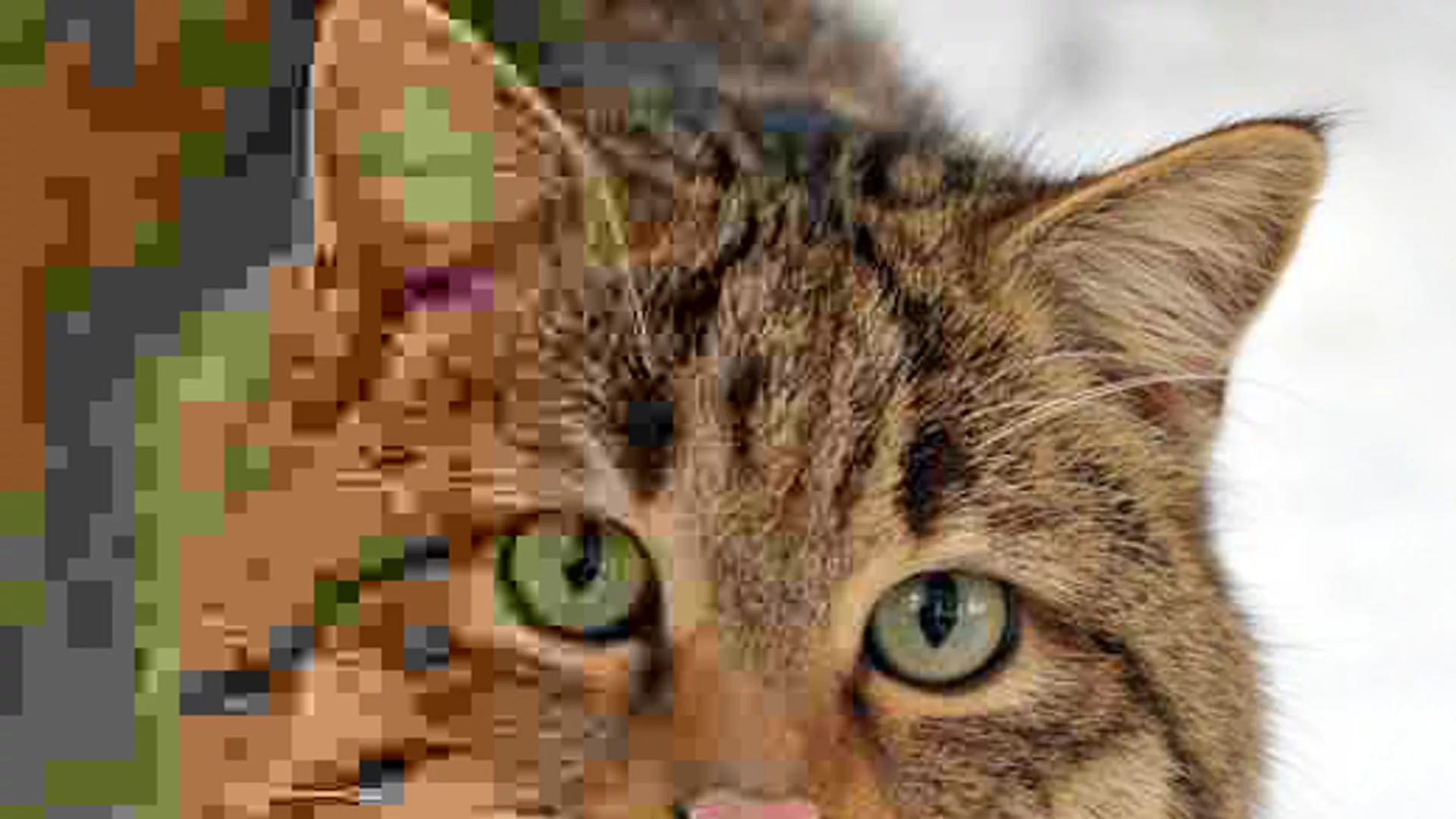 Fallback image