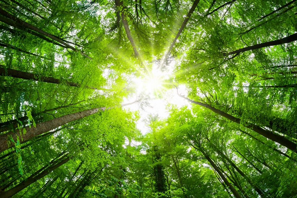 Título do bloco Lorem Ipsum Dolor Sit