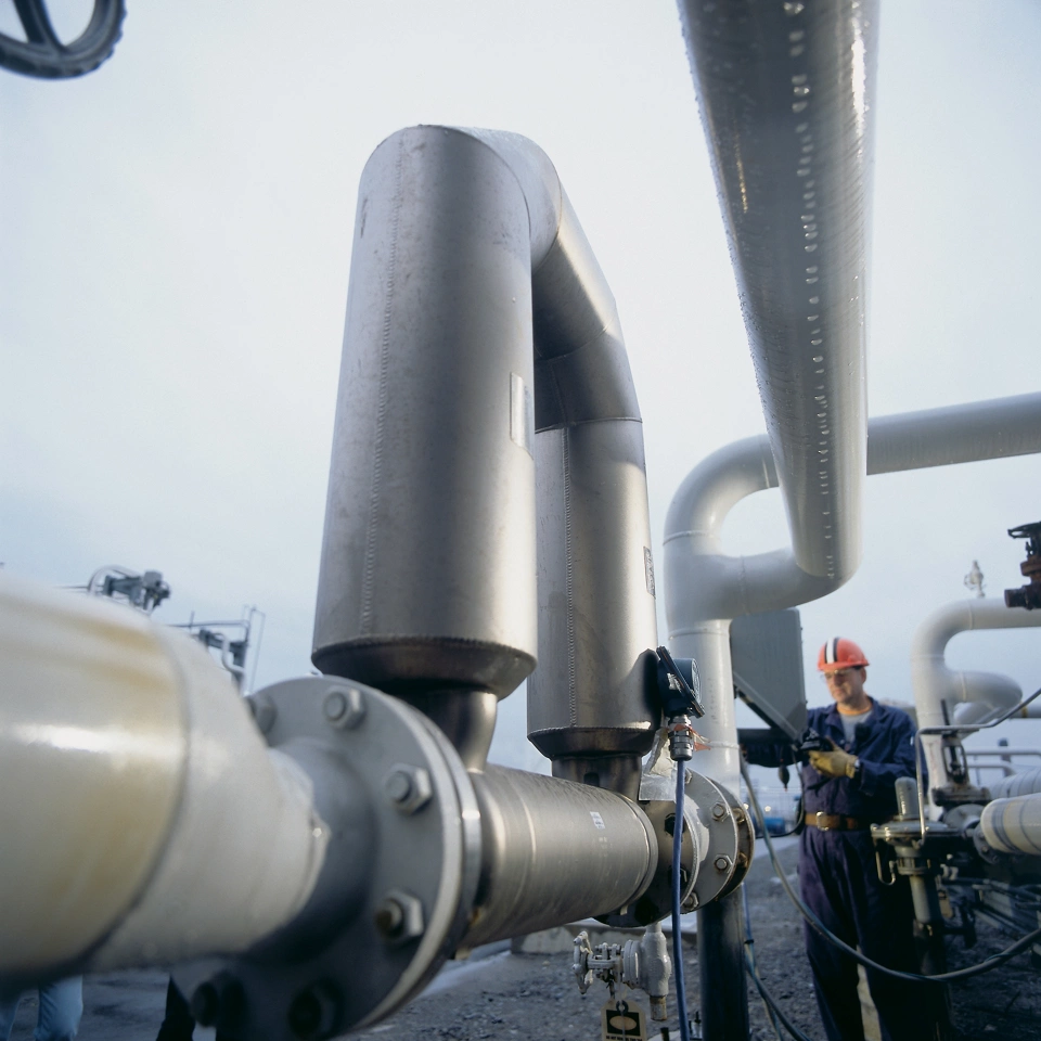 All Lifecycle Services