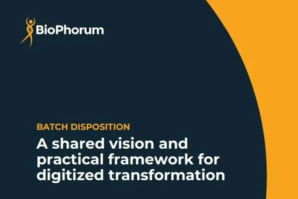 Batch Disposition Vision and Practical Framework