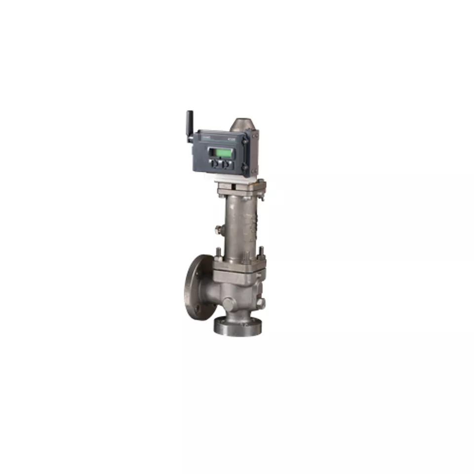 PRV Monitoring for Direct Spring Valves