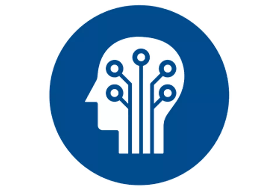 FIELDVUE™ Instruments