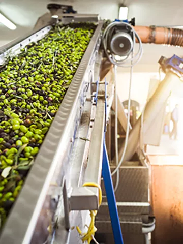 Edible Oils - Explore Measurement Instrumentation