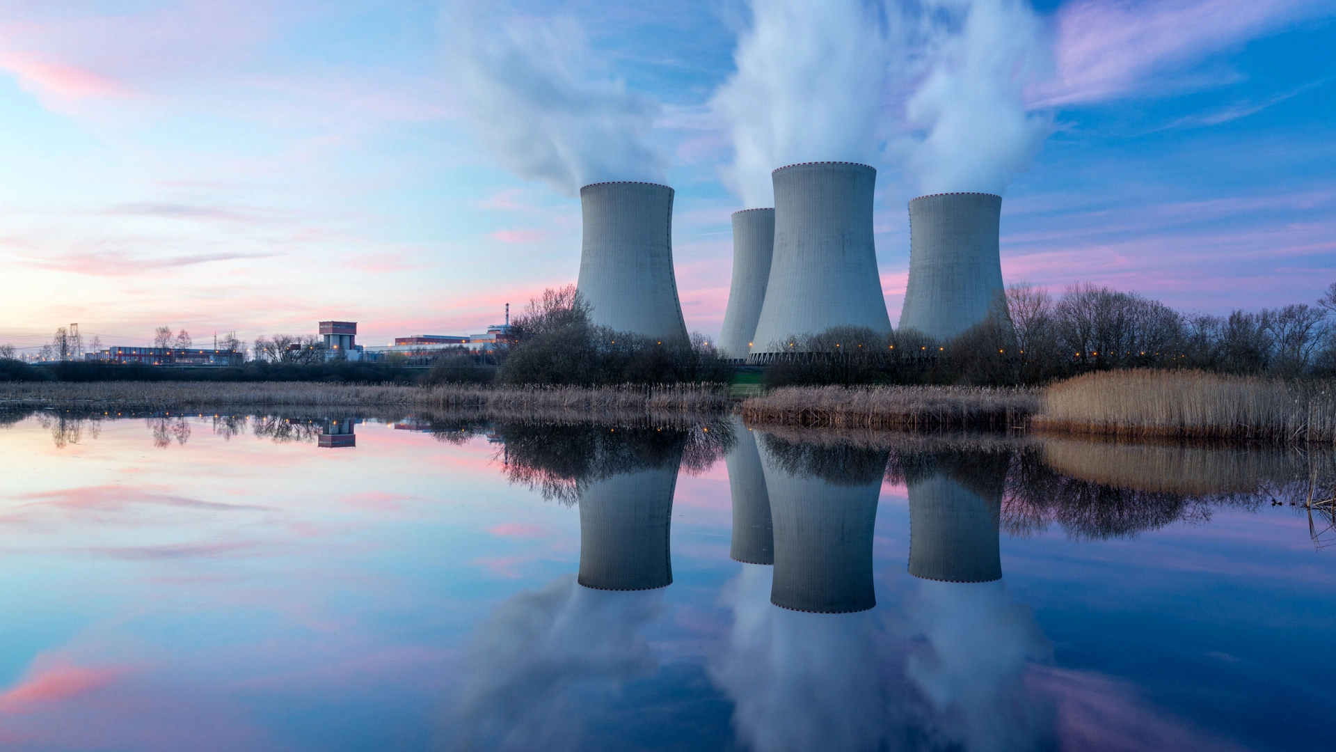 Combustion Analysis in Coal-Fired Power Plants