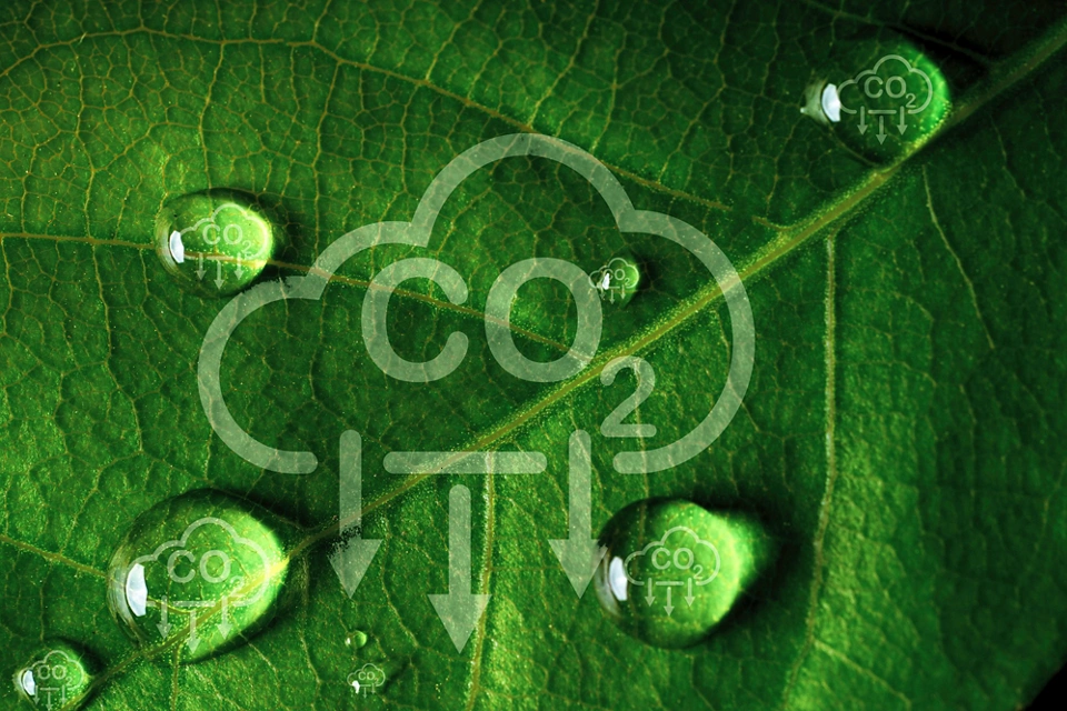 Decarbonization