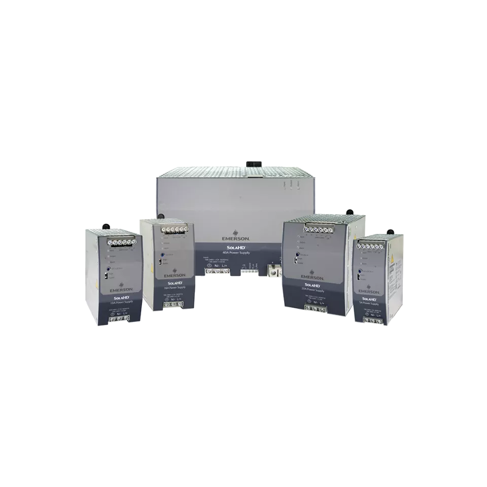 Alimentatori DeltaV Bulk