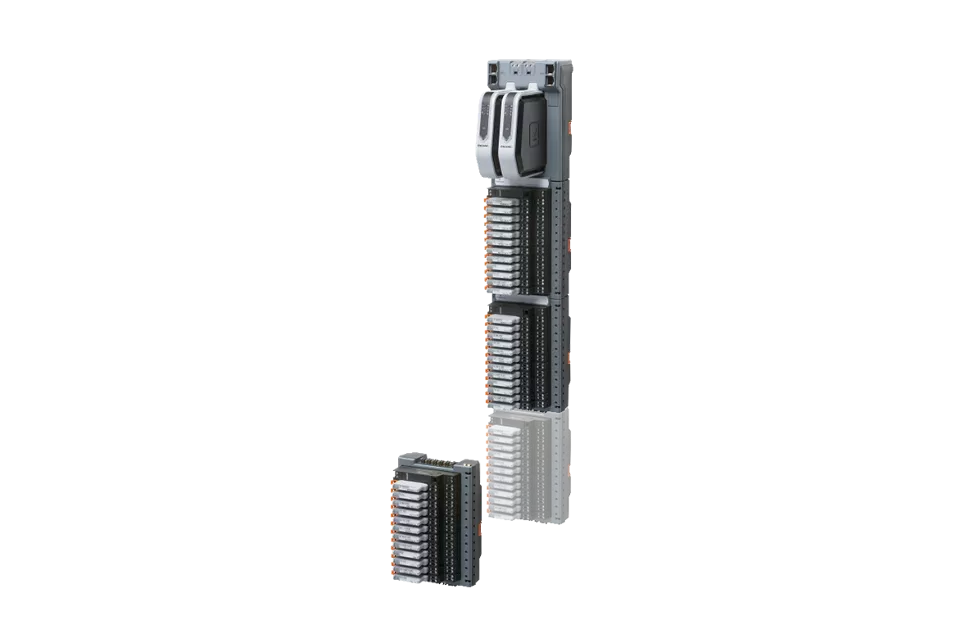 DeltaV Electronic Marshalling
