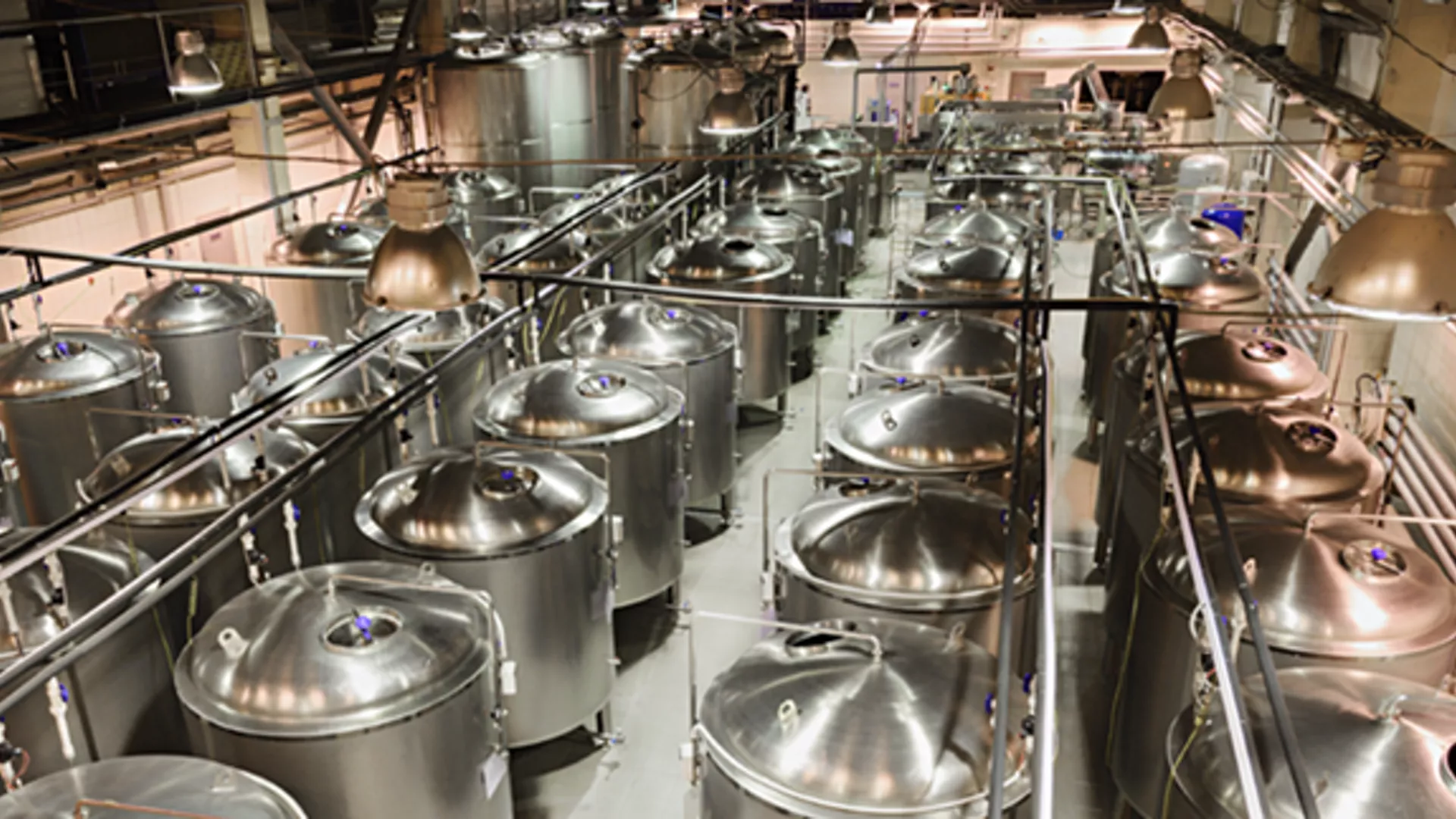 Differential Pressure Level Measurement in Beer Production