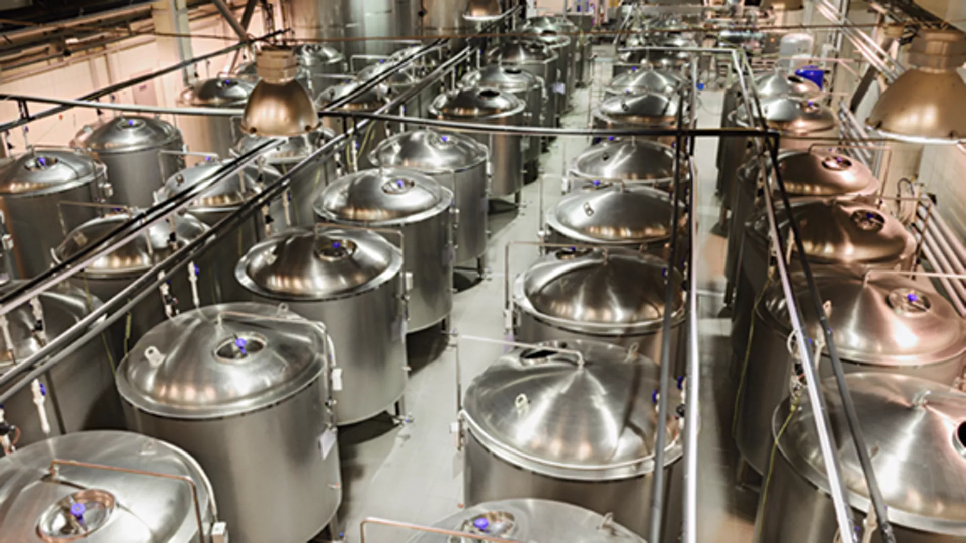 Differential Pressure Level Measurement in Beer Production