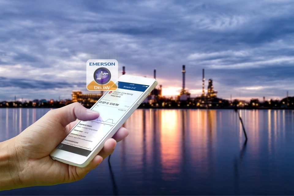 DeltaV Mobile Network Architecture Considerations