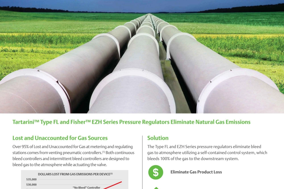 Eliminate Natural Gas Emissions