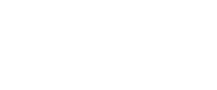 emerson-logo-19