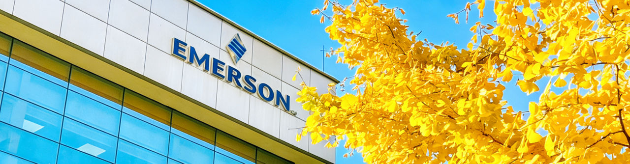 Emerson Career Site