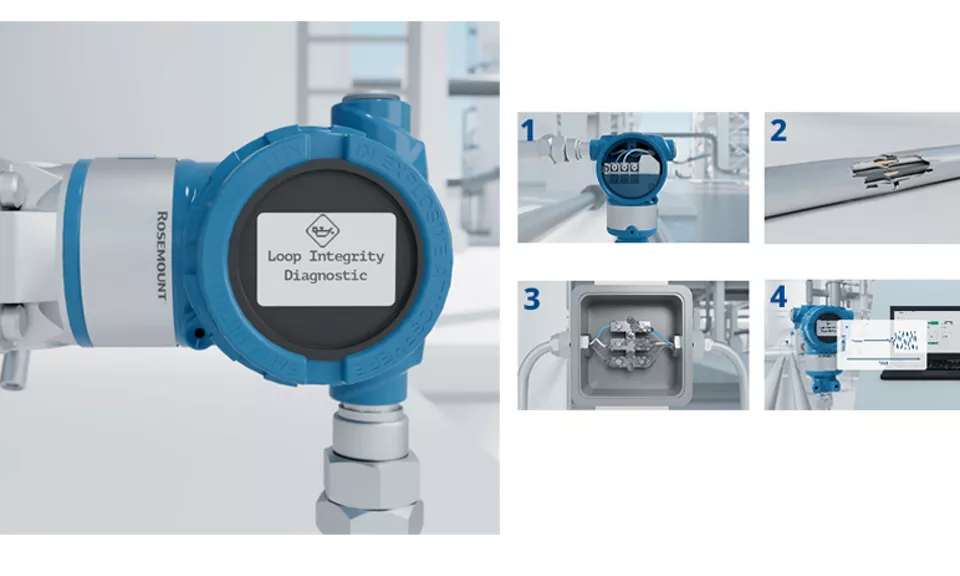 Loop Integrity Diagnostic