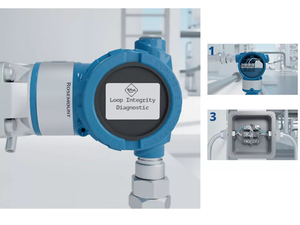 Loop Integrity Diagnostic