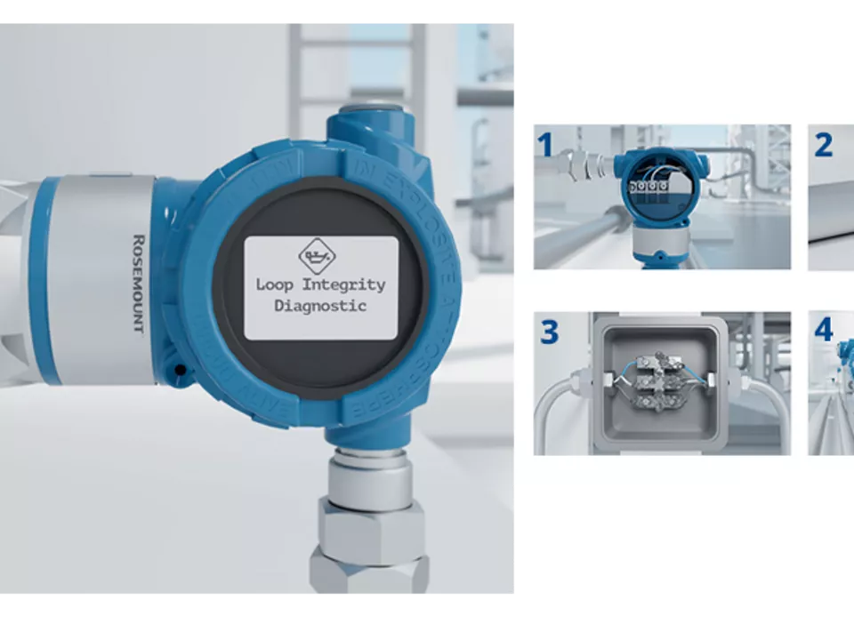 Loop Integrity Diagnostic