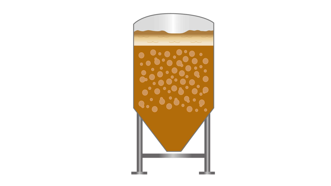 Measurement Instrumentation for Fermentation in Brewing