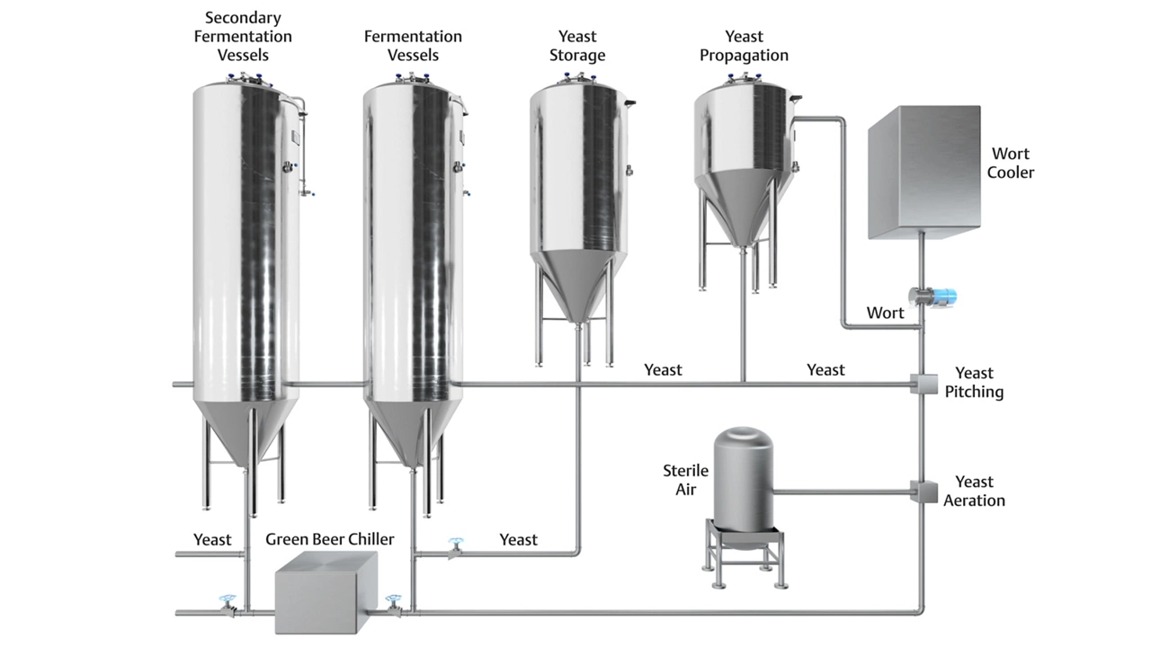 Fermentation