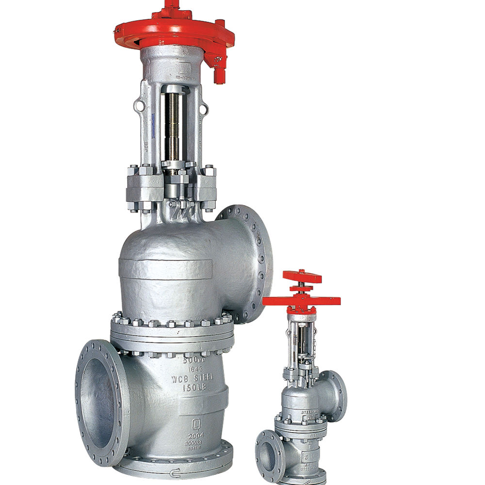 Lunkenheimer Figure F605 Angle Valve | Emerson