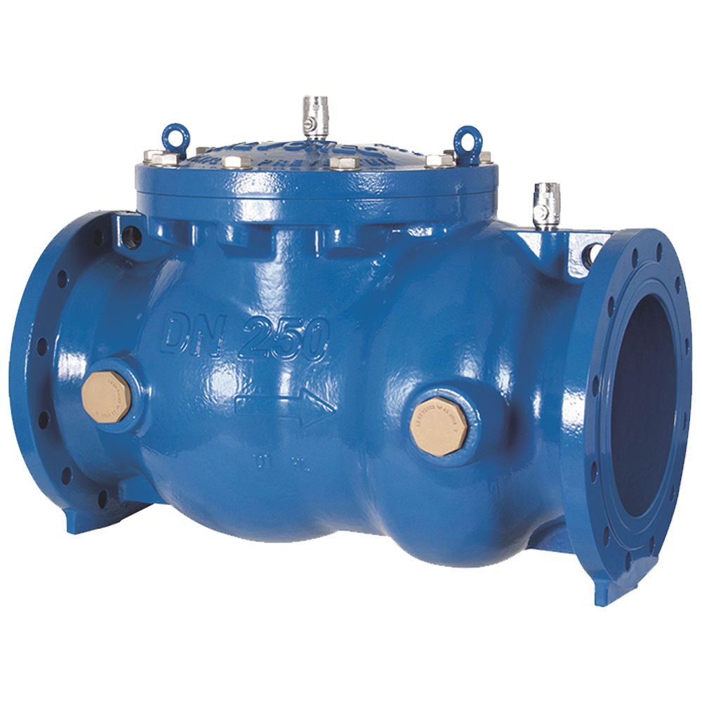 ValvCheQ Figure SC03 Large Backflow Preventers | Emerson
