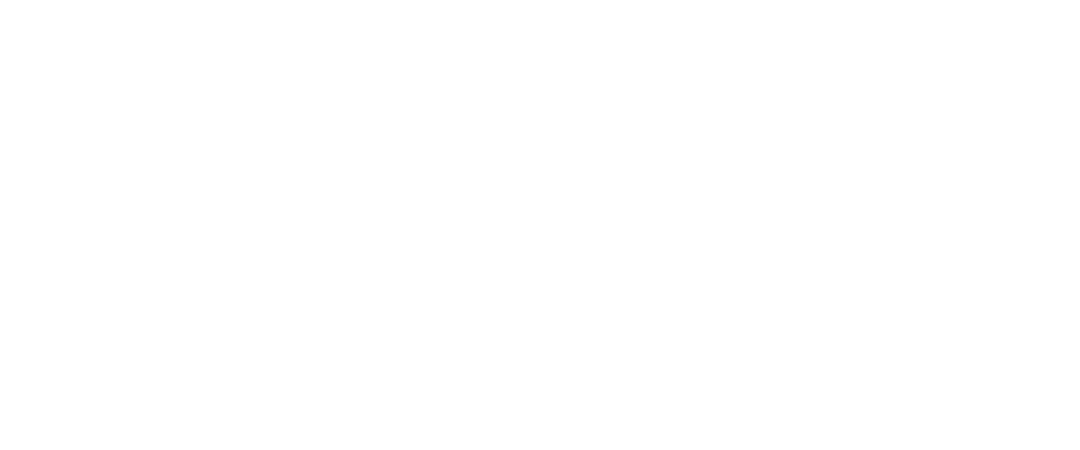 flexim-7