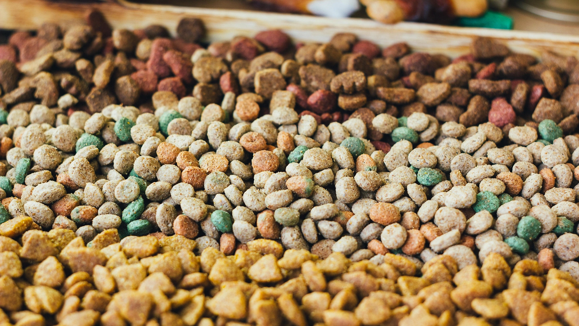 Dry pet food