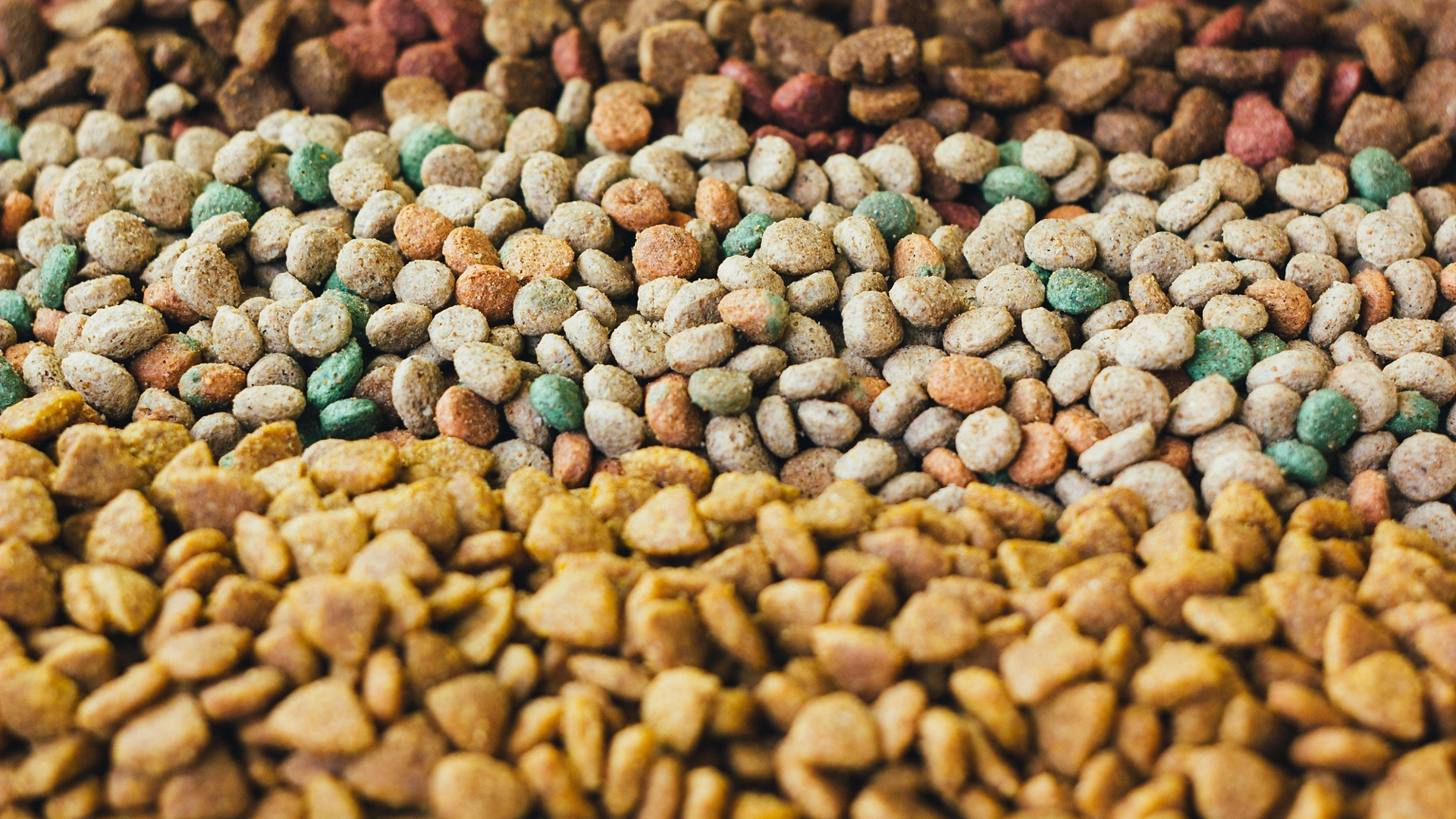 Dry pet food