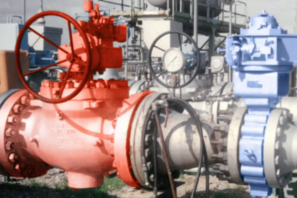 Whitepaper: Optimize Your Operations