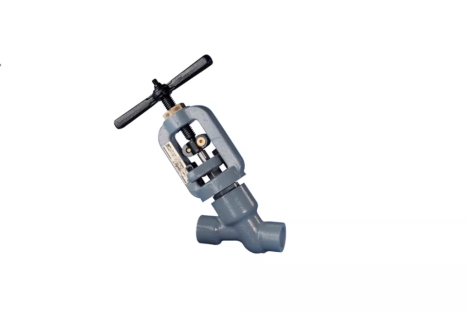 Globe Valves