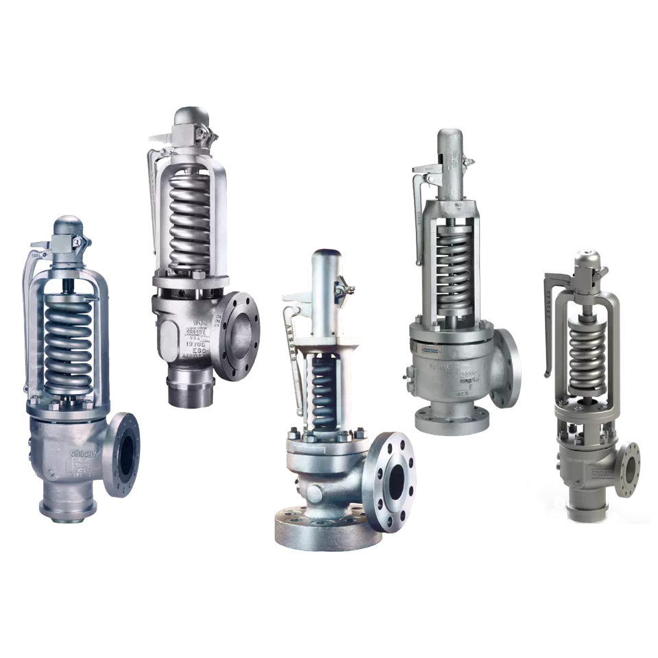  Crosby H Series Direct Spring Safety Valves