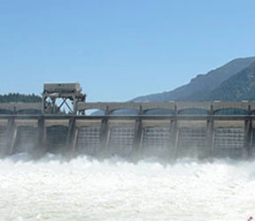 Hydro Governors