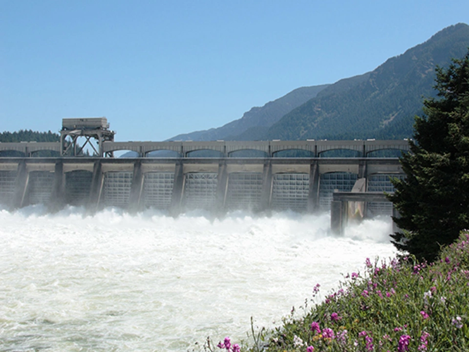 Hydroelectric Plant Control Solutions