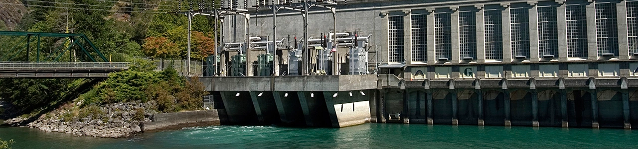 Fallback image