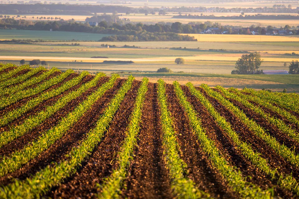Condition Monitoring for Food & Beverage
