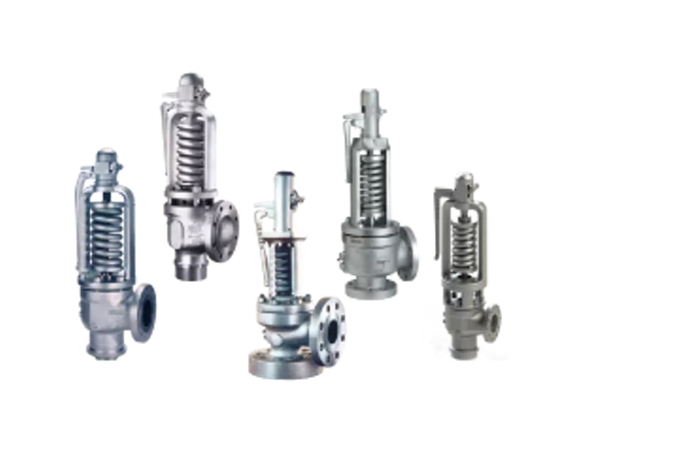 Crosby H Series Direct Spring Safety Valves