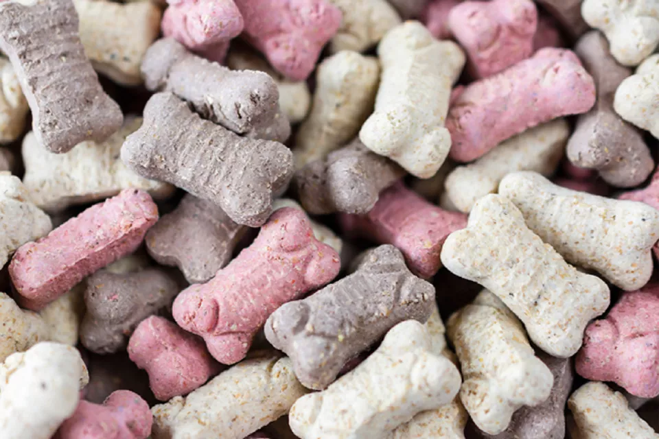 Pet Food Manufacturing