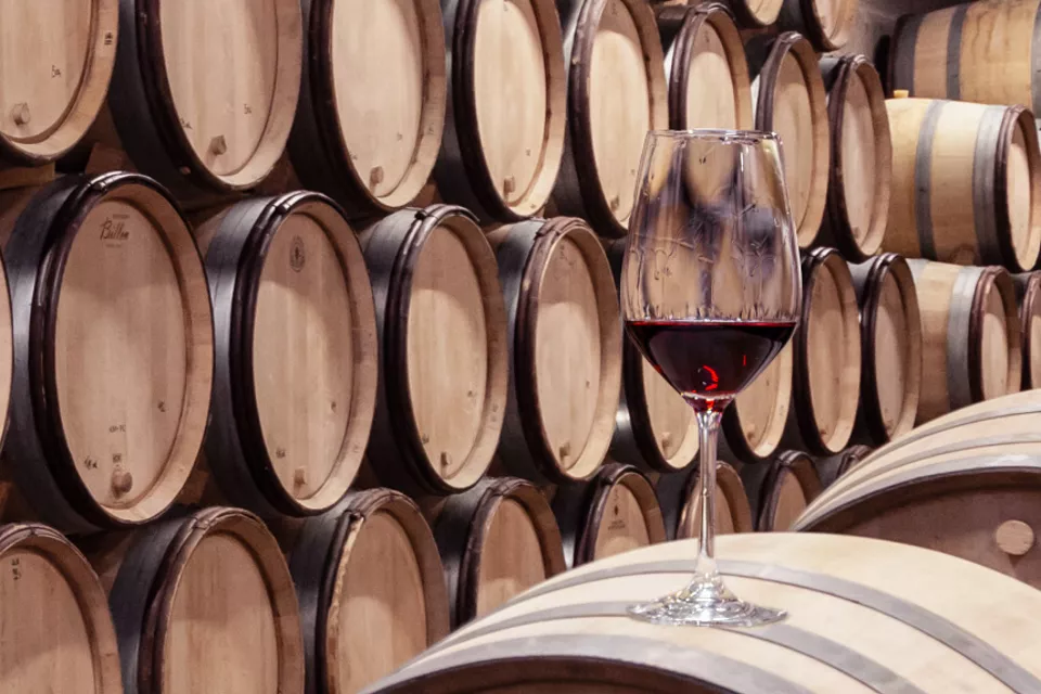 Winemaking