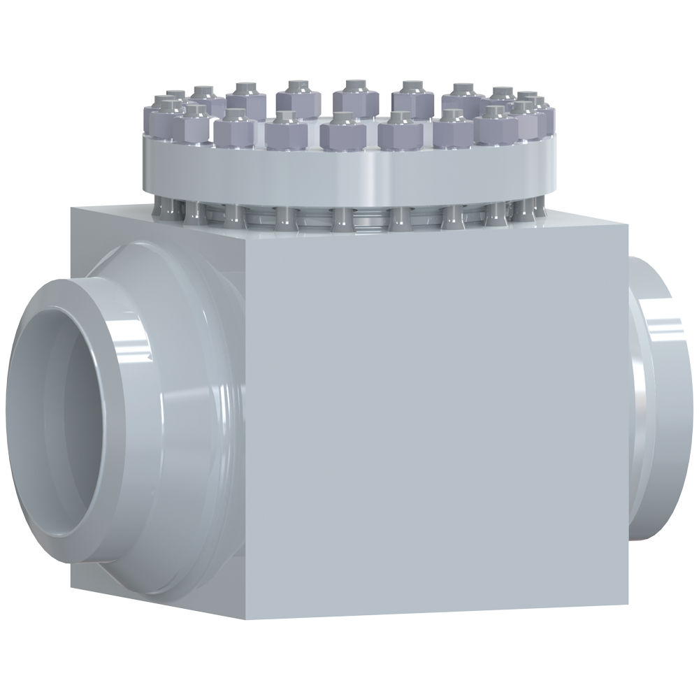 Sempell Nuclear Model HKS High Pressure Check Valve | Emerson