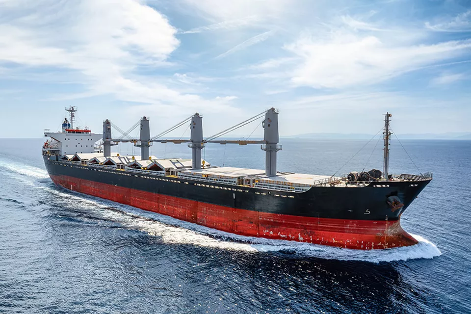 Bulk Carrier​s