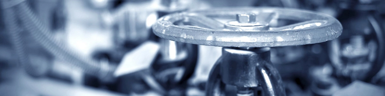 Fallback image
