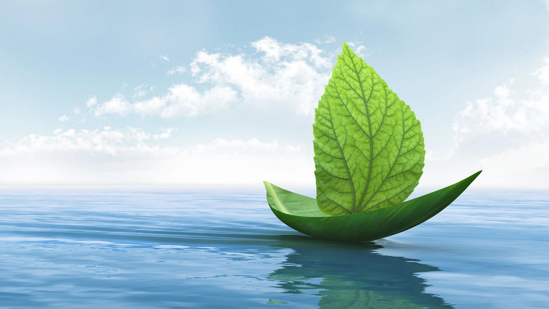 Optimize Energy Usage to Decrease Your Carbon Footprint