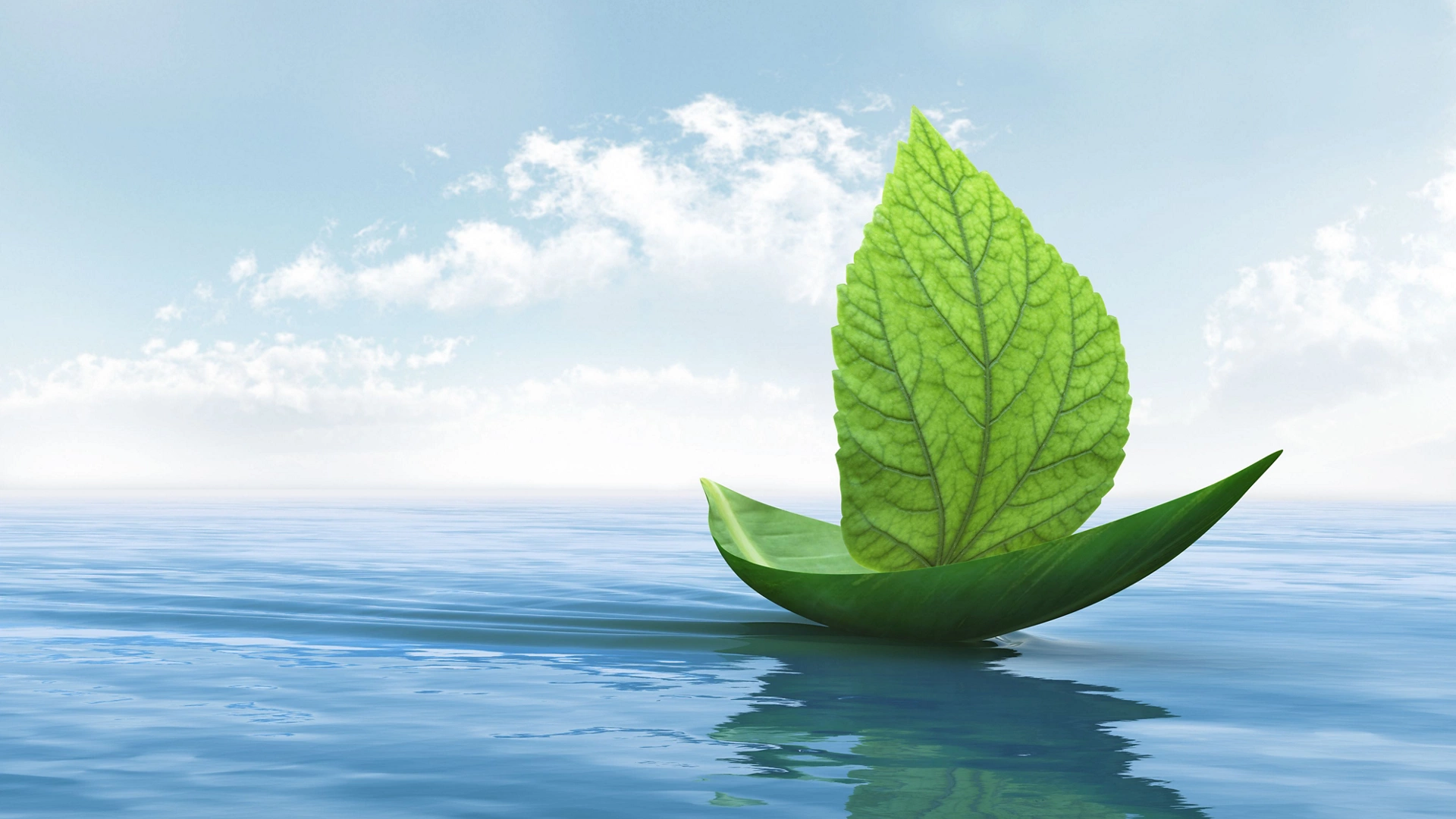 Optimize Energy Usage to Decrease Your Carbon Footprint