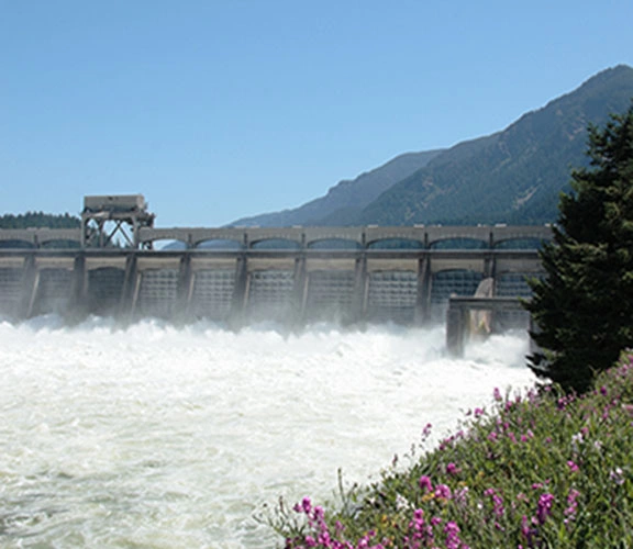 Hydro Power Plant Controls