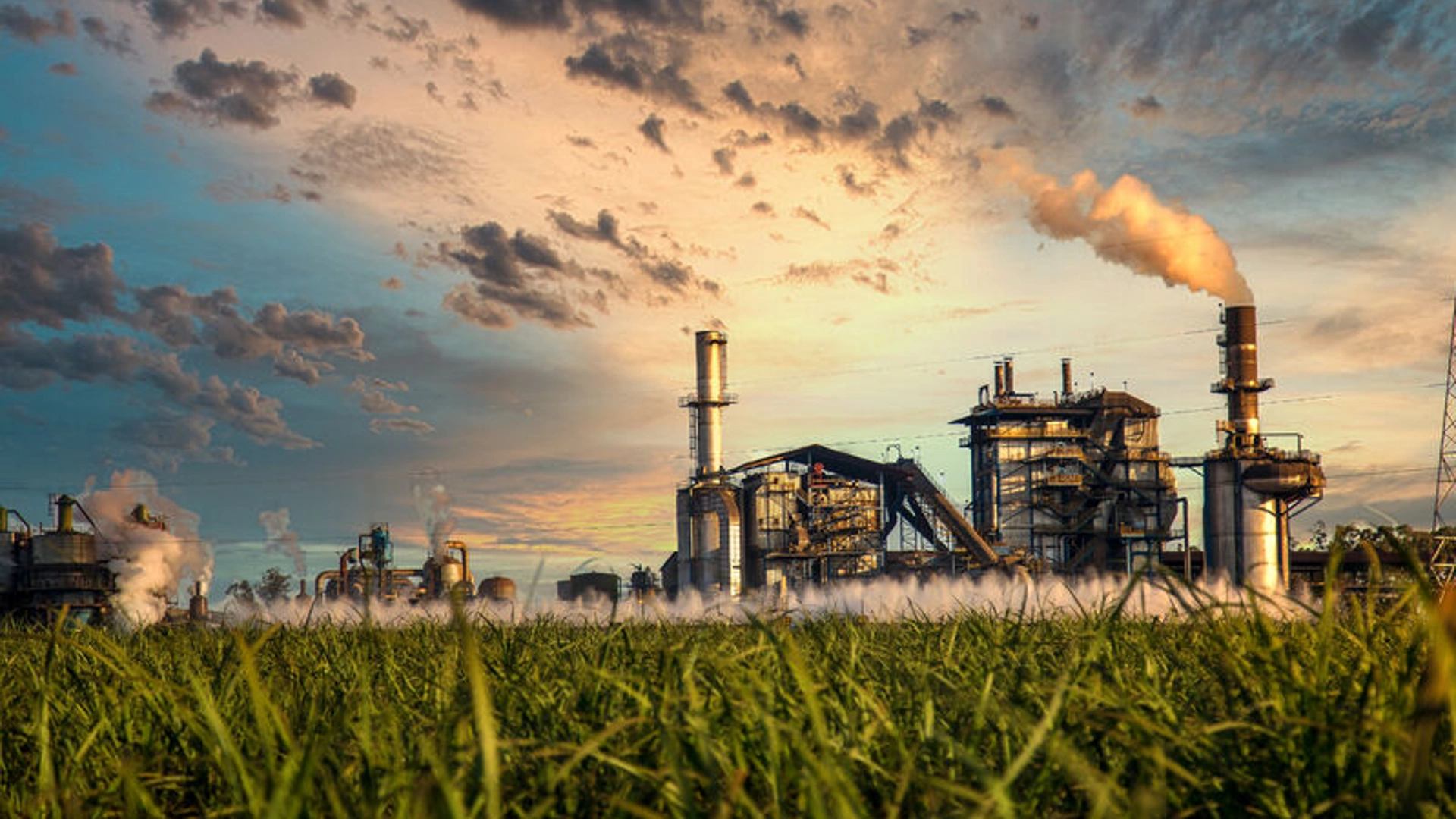 pH Measurement in Sugar Refining