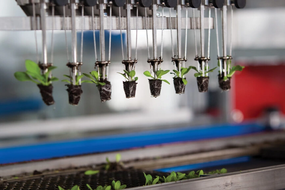 Como a automação pode ajudar sua organização a atingir as metas de sustentabilidade